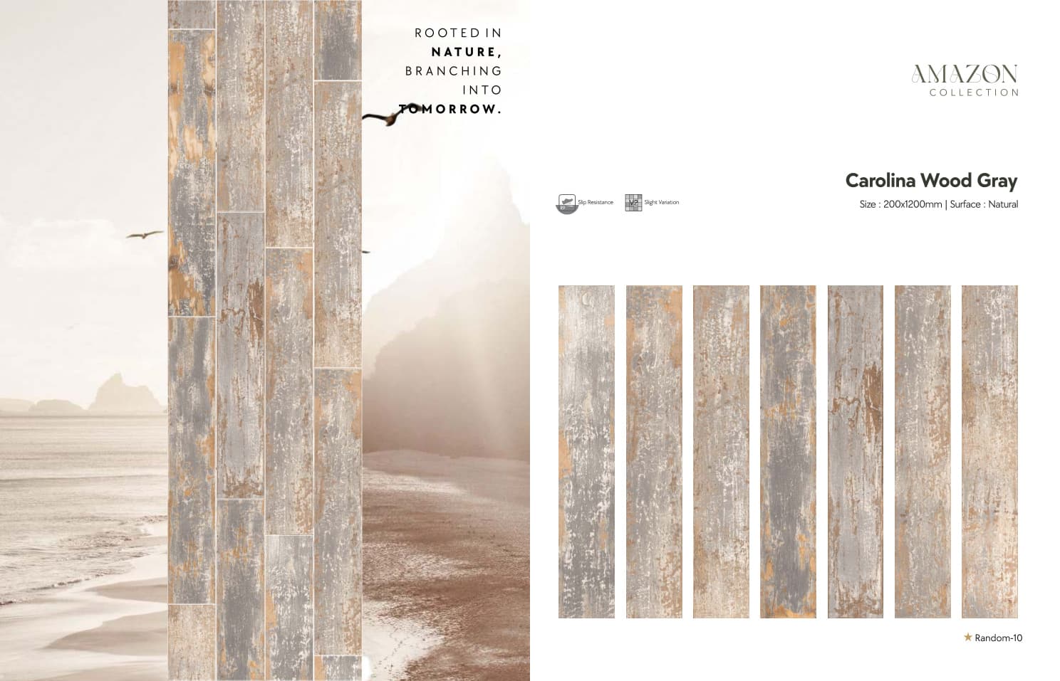 Amazon Carolina Wood Gray 200x1200mm
