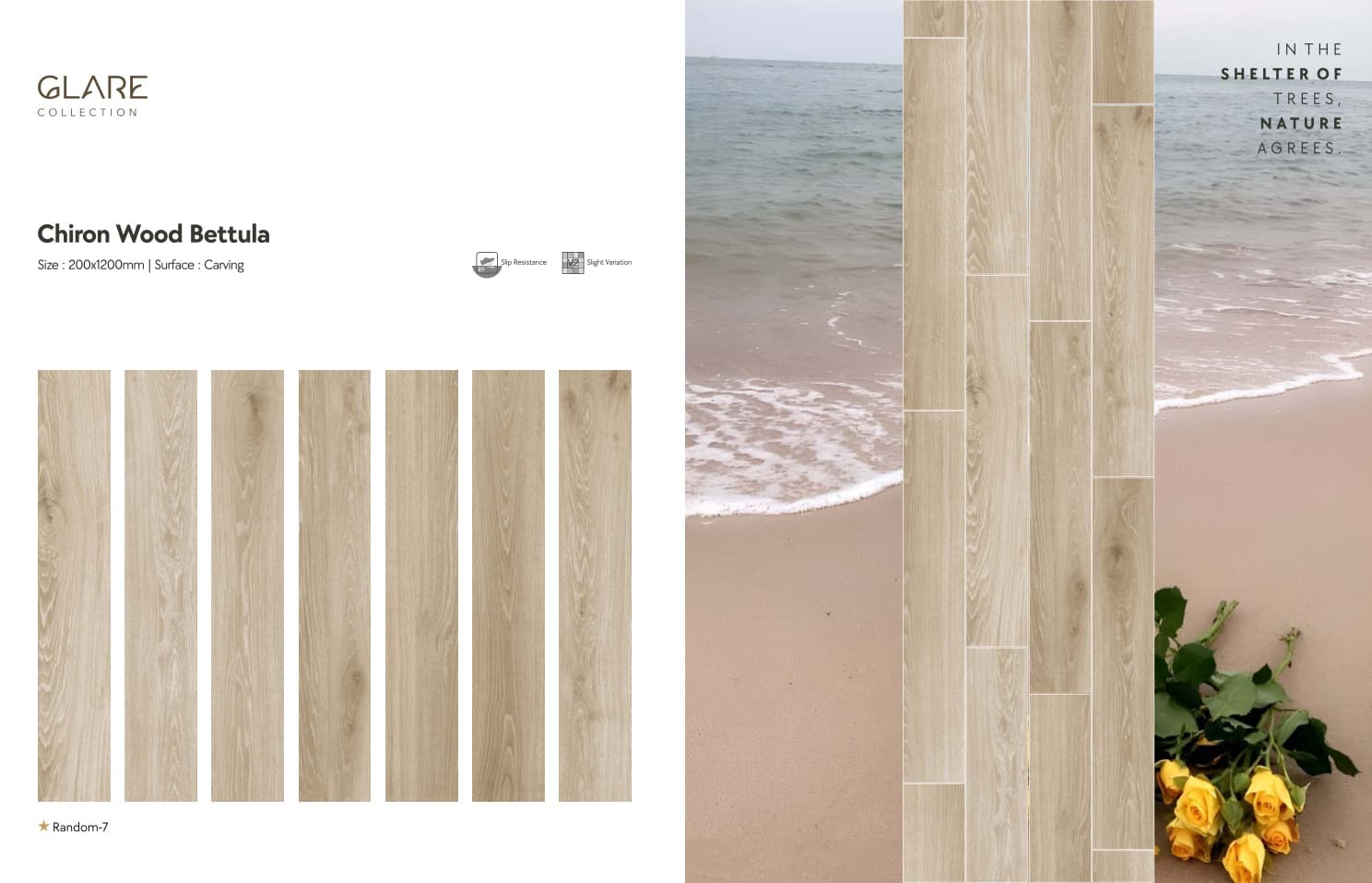 Glare Chiron Wood Bettula 200x1200mm