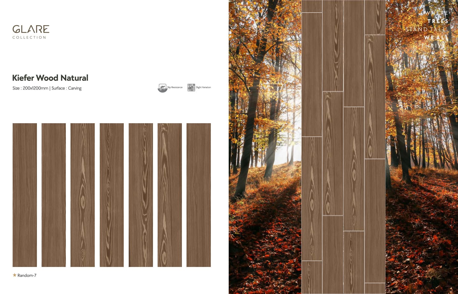 Glare Kiefer Wood Natural 200x1200mm