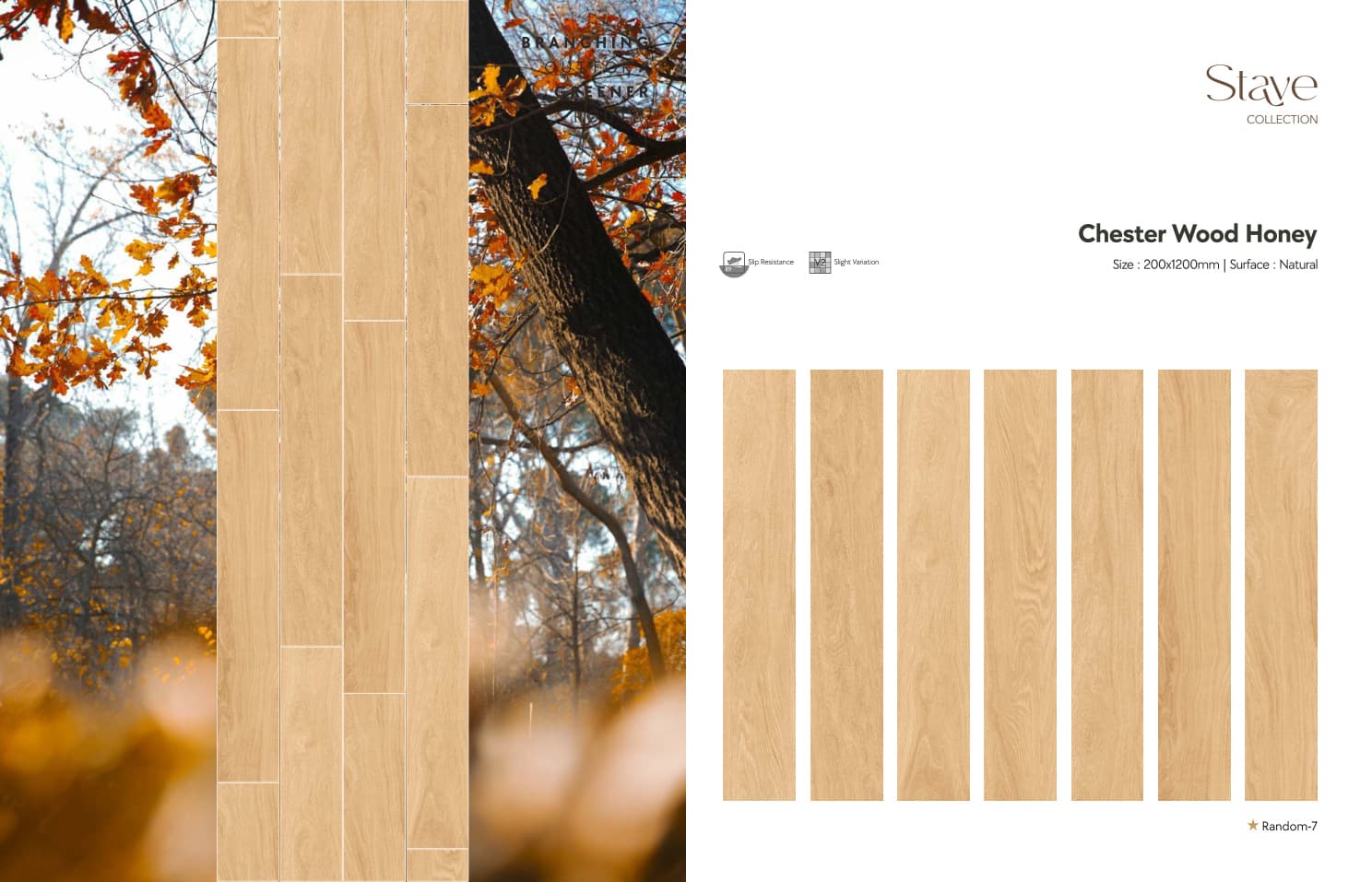 Stave Chester Wood Honey 200x1200mm