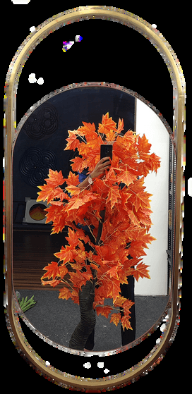 Oval Pro Mirror mirror