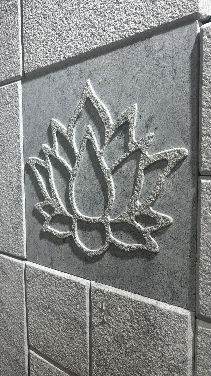 Ns 15